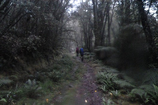 On the Cattle Track in the rain
Photo: Philip
2023-04-18 08.49.49; '2023 Apr 18 08:49'
Original size: 4,320 x 2,880; 3,601 kB