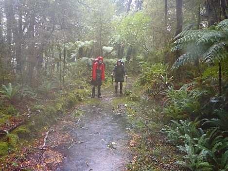 In the rain close to Blue River Hut
Photo: Simon
2023-04-18 09.35.53; '2023 Apr 18 09:35'
Original size: 4,608 x 3,456; 6,367 kB