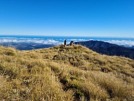 Māori Saddle Hut to Mataketake Hut Māori Saddle Hut to Mataketake Hut