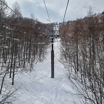 Looking up the Okushiga Gondola
Photo: Jim
2024-03-03 14.13.50; '2024 Mar 03 18:13'
Original size: 2,992 x 2,992; 3,562 kB