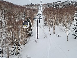 Ski Okushiga Kōgen and Yakebitaiyama
View up the Okushiga Gondola
Photo: Adrian
2024-03-05 11.06.22; '2024 Mar 05 11:06'
Original size: 8,481 x 6,361; 16,389 kB; str
2024-03-05 11.06.22 S20+ Adrian - view up the Okushiga Gondola_str.jpeg