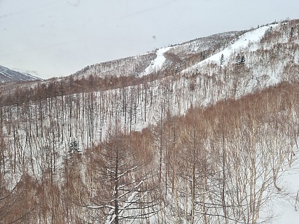 View from the Okushiga Gondola
Photographer;&nbsp;Adrian
2024-03-05&nbsp;11.05.39;&nbsp;Metadata time: '2024 Mar 05 11:05'
Original size:&nbsp;9,248 x 6,928; 18,461 kB
Filename: 2024-03-05 11.05.39 S20+ Adrian - view from the Okushiga Gondola.jpeg