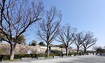 Outside Ōsaka Castle
Photographer;&nbsp;Jim
2024-03-15&nbsp;10.25.21;&nbsp;Metadata time: '2024 Mar 15 10:25'
Original size:&nbsp;2,992 x 1,818; 2,266 kB;&nbsp;cr
Filename: 2024-03-15 10.25.21 S21FE+ Jim - outside Ōsaka Castle_cr.jpg