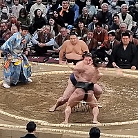 Kuromon market, Ōsaka Castle, Sumo Wrestling and Edion Arean\, Dōtonburi
Sumo action
Photo: Jim
2024-03-15 17.04.47; '2024 Mar 15 17:04'
Original size: 2,992 x 2,992; 1,381 kB
2024-03-15 17.04.47 S21FE+ Jim - Sumo action.jpeg