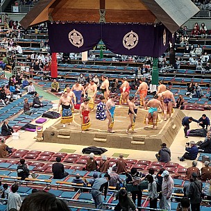 Meet next rank of competitors
Photo: Jim
2024-03-15 14.17.00; '2024 Mar 15 14:17'
Original size: 2,992 x 2,992; 3,203 kB
2024-03-15 14.17.00 S21FE+ Jim - Meet next rank of competitors.jpeg