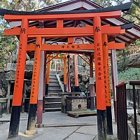 Shinkansen Ōsaka, Tōkyō, to Narita
Torii gates on the Senbon Torii path
Photo: Jim
2024-03-16 15.51.14; '2024 Mar 16 15:51'
Original size: 2,992 x 2,992; 3,261 kB
2024-03-16 15.51.14 S21FE+ Jim - Torii gates on the Senbon Torii path.jpeg