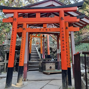 Torii gates on the Senbon Torii path
Photo: Jim
2024-03-16 15.51.14; '2024 Mar 16 19:51'
Original size: 2,992 x 2,992; 3,261 kB
2024-03-16 15.51.14 S21FE+ Jim - Torii gates on the Senbon Torii path.jpeg