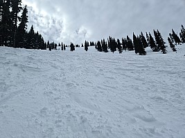 View up Employee Housing run
Photographer;&nbsp;Simon
2025-02-26&nbsp;14.52.12;&nbsp;Metadata time: '2025 Feb 26 14:52'
Original size:&nbsp;9,248 x 6,936; 13,228 kB
Filename: 2025-02-26 14.52.12 S20+ Simon - view up Employee Housing run.jpeg
