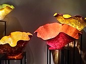 2025-03-02 13.17.49 Nick - Chihuly Macchia series.jpeg: 4608x3456, 4187k (2026 Jan 07 15:10)