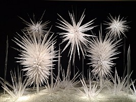 Winter Brilliance
Photographer;&nbsp;Simon
2025-03-02&nbsp;12.45.35;&nbsp;Metadata time: '2025 Mar 02 12:45'
Original size:&nbsp;9,248 x 6,936; 7,564 kB
Filename: 2025-03-02 12.45.35 S20+ Simon - Winter Brilliance.jpeg