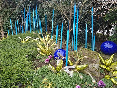Chihuly Blue Grass Reeds
Photographer;&nbsp;Nick
2025-03-02&nbsp;13.46.13;&nbsp;Metadata time: '2025 Mar 02 13:46'
Original size:&nbsp;4,608 x 3,456; 10,016 kB
Filename: 2025-03-02 13.46.13 Nick - Chihuly Blue Grass Reeds.jpeg