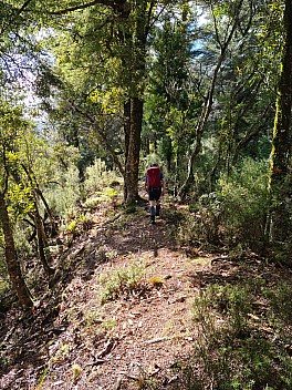 Brian tramping along the ridge
Photo: Simon
2025-05-04 13.30.08; '2025 May 04 13:30'
Original size: 6,928 x 9,248; 33,664 kB
2025-05-04 13.30.08 S20+ Simon - Brian tramping along the ridge.jpeg