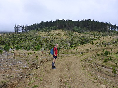 Brian on forestry road
Photo:&nbsp;Simon
2018-03-31&nbsp;11.18.01;&nbsp;'2018 Mar 31 11:18'
Original size:&nbsp;4,608 x 3,456; 6,686 kB
2018-03-31 11.18.01 P1020277 Simon - Brian on forestry road.jpeg