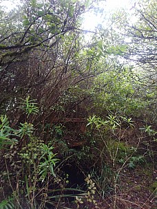 Old Motere trig
Photographer;&nbsp;Simon
2019-09-14&nbsp;08.35.58;&nbsp;Metadata time: '2019 Sept 14 08:35'
Original size:&nbsp;3,120 x 4,160; 5,574 kB
Filename: 2019-09-14 08.35.58 LG6 Simon - old Motere trig.jpeg