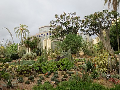 2014-07-11 13.55.51 IMG_2808 Anne - Cacti garden and Botanic Gardens greenhouse.jpeg: 4608x3456, 6823k (2014 Aug 09 16:49)