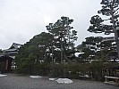 2015-02-13 15.05.42 P1010535 Simon - Zenko-ji temple trees.jpeg: 4000x3000, 5671k (2015 Jun 07 16:28)