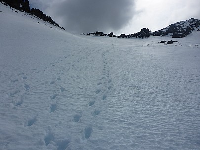 2015-10-03 14.25.41 P1000222 Simon - footsteps back up snow slope.jpeg: 4608x3456, 6040k (2015 Nov 07 16:36)