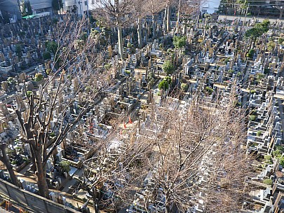 2016-03-03 08.34.05 P1000847 Simon - Shinjuku cemetery.jpeg: 4608x3456, 6270k (2016 Mar 03 08:34)