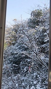 2017-01-21 11.56.50 IMG_9090 Anne - snow on trees_cr.jpg: 2672x4608, 6312k (2017 Jan 26 18:36)