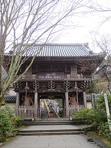 2017-01-21 16.15.01 IMG_9131 Anne - entrance to Daisho-in temple.jpeg: 3456x4608, 6165k (2017 Jan 26 18:36)