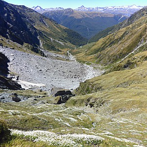 2019-01-15 12.11.24 Panorama Simon - flower covered slopes looking into McCullaugh Creek_stitch.jpg: 4398x4413, 23470k (2019 Jun 20 21:11)