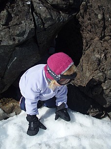 
2007-09-29&nbsp;15.01.59;&nbsp;Metadata time: '2007 Sept 29 15:01'
Original size:&nbsp;2,304 x 3,072; 2,897 kB
Filename: 2007-09-29 15.01.59 P9290155.jpeg