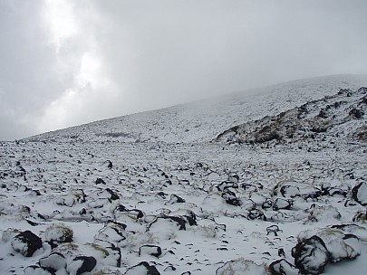 A 020223
2007-10-02&nbsp;09.33.27;&nbsp;Metadata time: '2007 Oct 02 09:33'
Original size:&nbsp;3,072 x 2,304; 3,052 kB
Filename: 2007-10-02 09.33.27 PA020223.jpeg