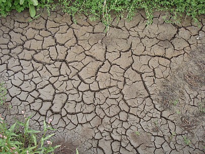 Adrian
2010-03-06&nbsp;13.43.04;&nbsp;Metadata time: '2010 Mar 06 13:43'
Original size:&nbsp;3,072 x 2,304; 3,070 kB
Filename: 2010-03-06 13.43.04 P3060002 Adrian.jpeg