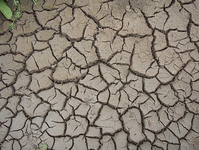 Adrian
2010-03-06&nbsp;13.43.12;&nbsp;Metadata time: '2010 Mar 06 13:43'
Original size:&nbsp;3,072 x 2,304; 3,418 kB
Filename: 2010-03-06 13.43.12 P3060003 Adrian.jpeg