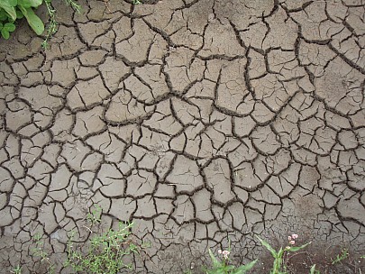 Adrian
2010-03-06&nbsp;13.43.17;&nbsp;Metadata time: '2010 Mar 06 13:43'
Original size:&nbsp;3,072 x 2,304; 3,335 kB
Filename: 2010-03-06 13.43.17 P3060004 Adrian.jpeg