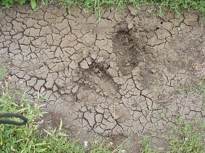 Adrian
2010-03-06&nbsp;13.43.37;&nbsp;Metadata time: '2010 Mar 06 13:43'
Original size:&nbsp;3,072 x 2,304; 2,928 kB
Filename: 2010-03-06 13.43.37 P3060005 Adrian.jpeg