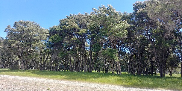 Kanaka
Photographer;&nbsp;Simon
2020-11-29&nbsp;13.50.41;&nbsp;Metadata time: '2020 Nov 29 13:50'
Original size:&nbsp;4,160 x 2,080; 5,079 kB
Filename: 2020-11-29 13.50.41_HDR LG6 Simon - Kanaka.jpeg