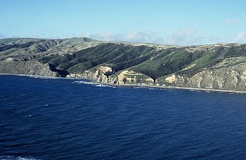 Coast north of Makara Estuary, Owhariu Bay, photograph by Barbara Mitcalfe
14750001
;&nbsp;Metadata time: '2026 Feb 01 02:59'
Original size:&nbsp;1,570 x 1,024; 1,029 kB
Filename: 14750001.jpg