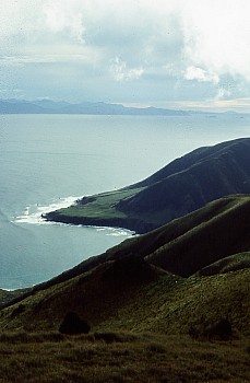 Tongue Point, Raukawa/Cook Strait, and Te Waipounamu/South Island, photograph by Barbara Mitcalfe
14750002
;&nbsp;Metadata time: '2026 Feb 01 02:59'
Original size:&nbsp;1,024 x 1,568; 916 kB
Filename: 14750002.jpg