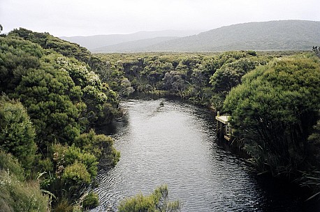 057_057.JPG: 1544x1024, 350k (2006 Dec 20 22:55)