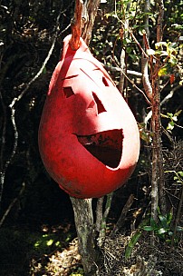 068_008.JPG: 1024x1544, 240k (2007 Jan 02 11:10)