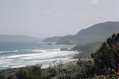 070_010.JPG: 1544x1024, 274k (2006 Dec 20 22:51)