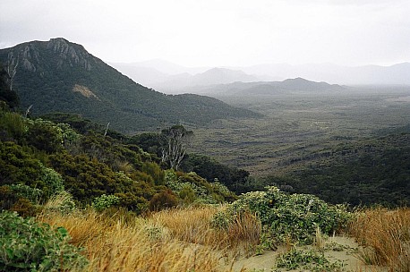 075_015.JPG: 1544x1024, 300k (2006 Dec 20 22:52)