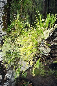 080_020.JPG: 1024x1544, 323k (2007 Jan 02 11:11)