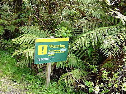 dsc00416.jpg: 2048x1536, 805k (2006 Dec 22 13:29)