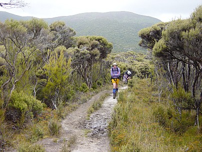 dsc00420.jpg: 2048x1536, 804k (2006 Dec 22 13:30)