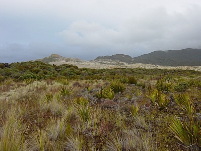 dsc00421.jpg: 2048x1536, 809k (2006 Dec 22 13:57)