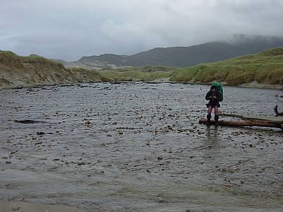 dsc00423.jpg: 2048x1536, 808k (2006 Dec 22 13:36)