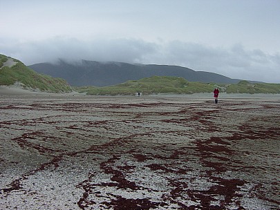 dsc00427.jpg: 2048x1536, 803k (2006 Dec 22 13:37)