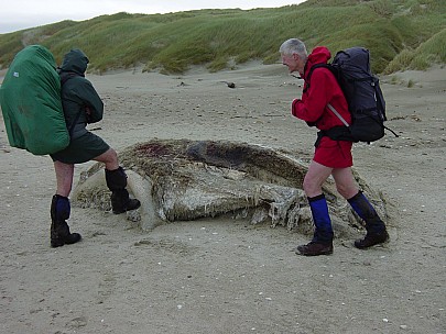 dsc00429.jpg: 2048x1536, 804k (2006 Dec 22 13:38)