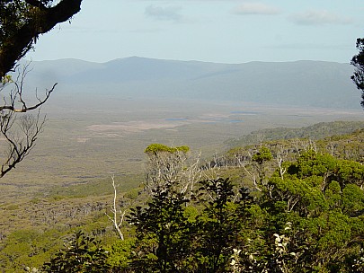 dsc00438.jpg: 2048x1536, 801k (2006 Dec 22 13:42)