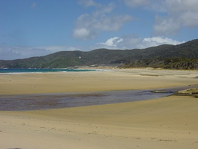 dsc00448.jpg: 2048x1536, 806k (2006 Dec 22 13:46)