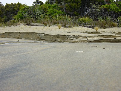 dsc00461.jpg: 2048x1536, 795k (2006 Dec 22 13:50)