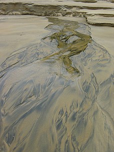 dsc00462.jpg: 1536x2048, 330k (2006 Dec 23 14:58)