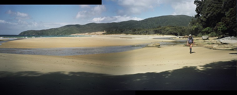 stitched-21-22.jpg: 2690x1077, 587k (2006 Dec 24 16:03)